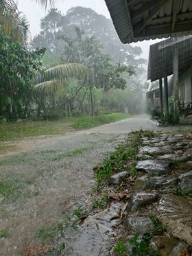 tropic rains